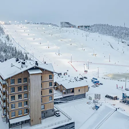 Levillas Lingonberry D26