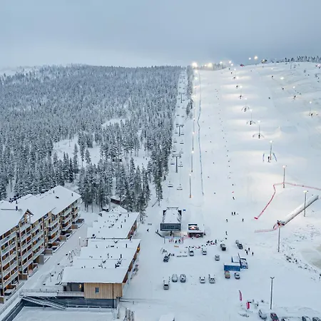 Levillas Lingonberry D26