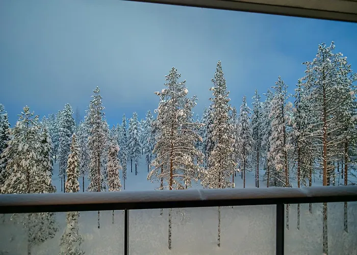 Levillas Lingonberry D26 * Levi