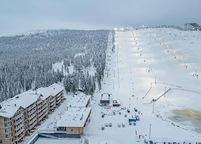 Levillas Lingonberry D26